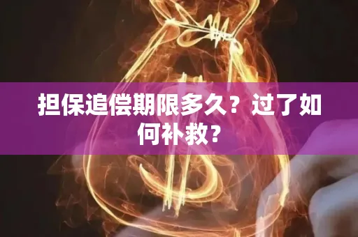 常州担保追偿期限多久?过了如何补救?